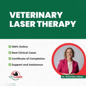 Banner of the Veterinary Laser Therapy Online Course